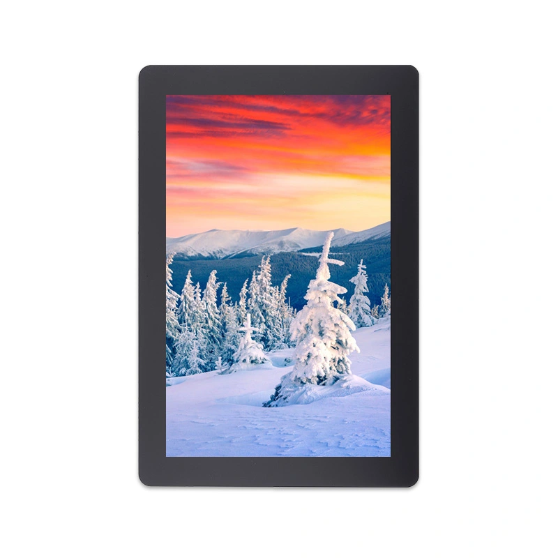 Módulo LCD de interface IPS MIPI de resolução de 800x1280 de 10,1 polegadas